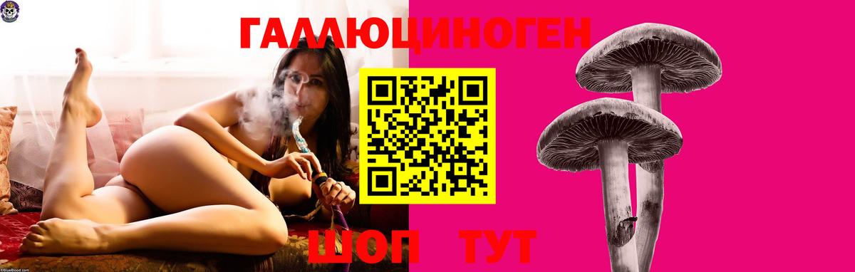 Псилоцибиновые грибы Psilocybine cubensis  Псилоцибиновые грибы прущие грибы  Орск  наркота  Вход с VPN 